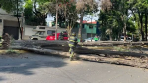 Sentencian a 60 años a ex maestro por violación; reportan riña mortal e incendio en Xochimilco