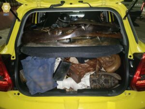 Recupera SSC piezas de arte y tarjetas de anime en dos operativos distintos en la Ciudad de México