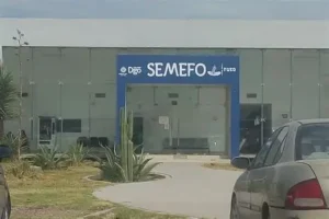 Reportan cuatro incidentes de seguridad y vialidad en la Comarca Lagunera; hallan feto y detienen a dos personas