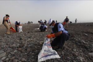 Grupo Interinstitucional reporta playas limpias tras saneamiento de más de 740 toneladas de hidrocarburo en Golfo de México