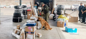 Despliegan más de 1,400 elementos para blindar turismo en Baja California Sur; hallan cuerpo sin vida en Mexicali