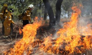 México acumula 2,332 incendios forestales en lo que va de 2026