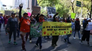 Activistas denuncian impunidad por maltrato animal y anuncian marcha por el Refugio Franciscano