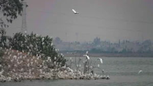 Mantenimiento de ríos en el Valle de México para evitar inundaciones