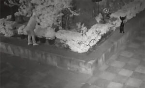 Roban esculturas de bronce inspiradas en Varo y Carrington de la iglesia de San Cosme
