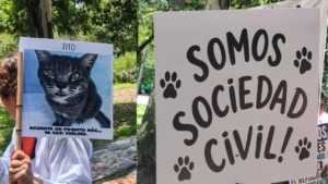 Manifestación en Chapultepec exige devolución de animales del Refugio Franciscano