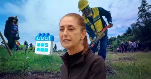 Sheinbaum decreta que la Jornada de Reforestación sea cada segundo domingo de agosto